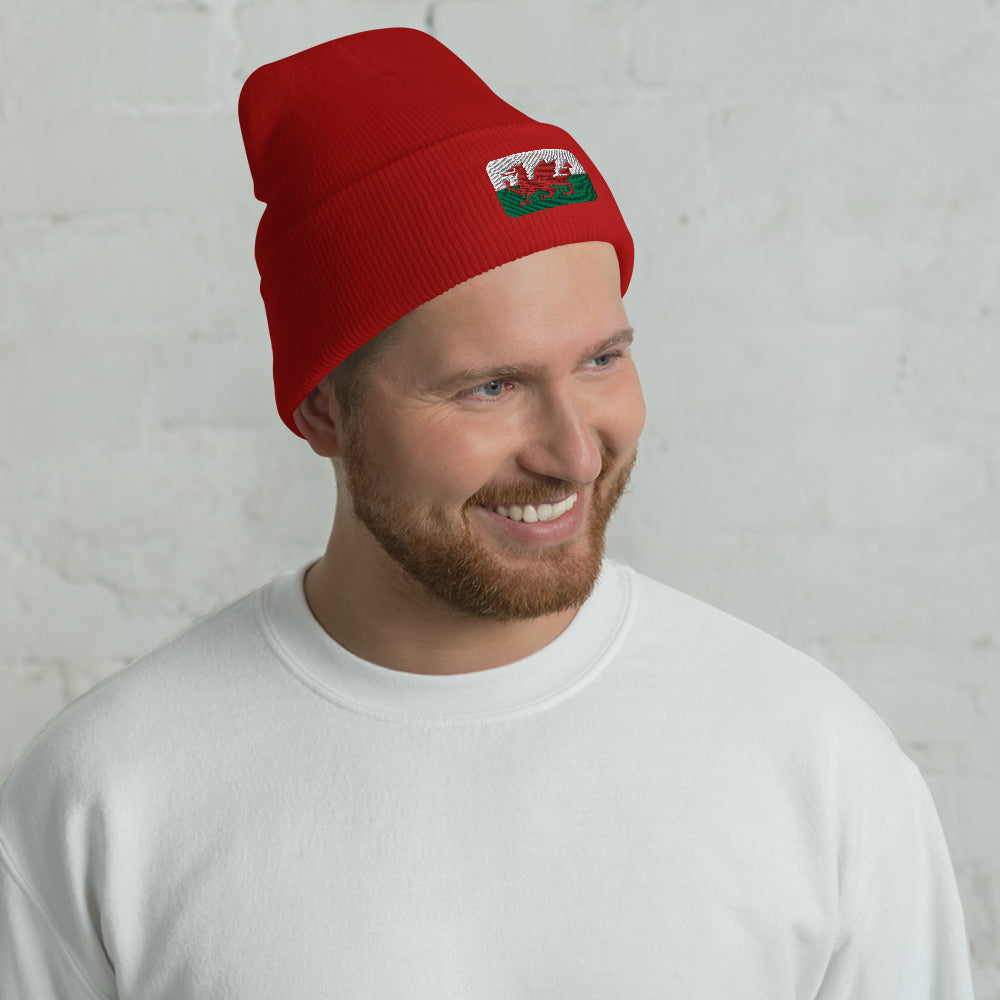 Wales Cuffed Beanie
