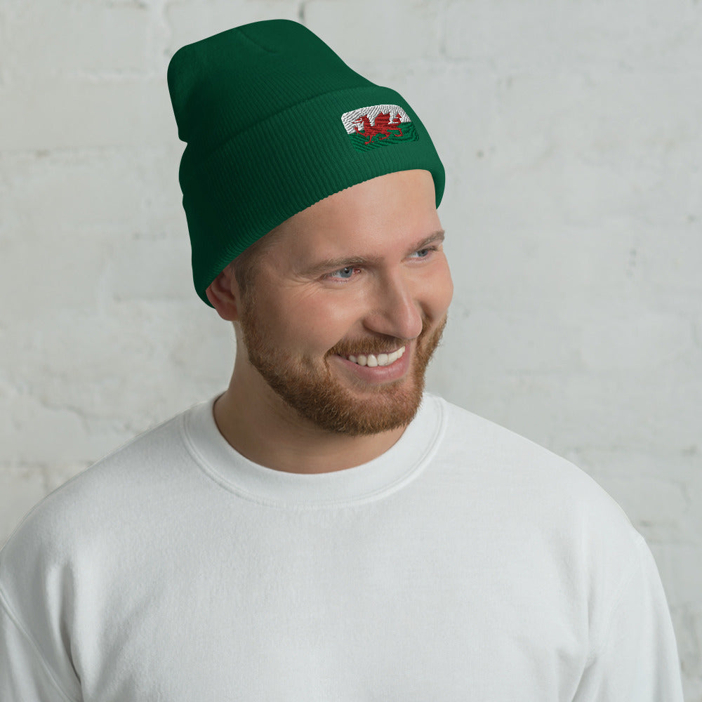 Wales Cuffed Beanie